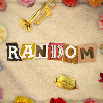 Random 封面